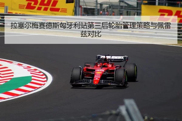 la-sai-er-mei-sai-de-si-xiong-ya-li-zhan-di-san-hou-lun-tai-guan-li-ce-lve-yu-pei-lei-zi-dui-bi-2-306.jpg